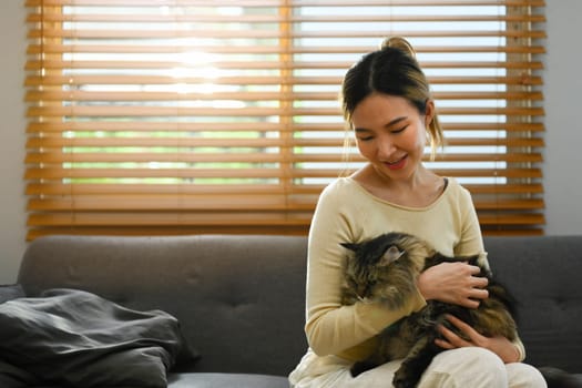 Happy young woman playing with her fluffy cat at home. Human, domestic pet and lifestyle concept.