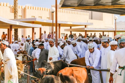 Many men wearing Thawb robe trading cattle at goat market in Arab Nizwa, Oman, Arabian Peninsula, Asia