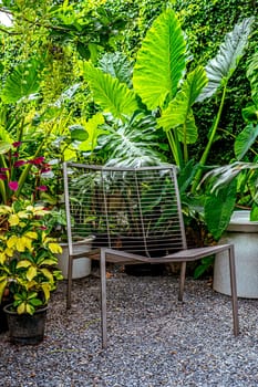 A relax corner in the garden park with steel bench