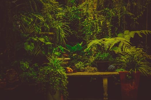 A relax corner in the park with stone bench over plant and tree background