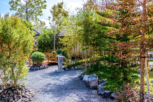 Traditional zen Japanese garden landscape design decoration with tree and rock