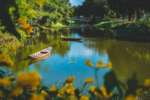 outdoor lifestyle kayaking at mangrove forest on summer vacation