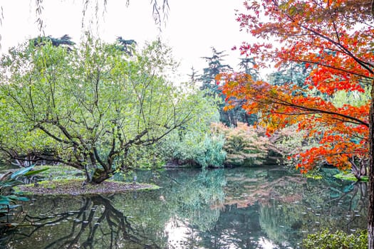 Autumn leaf in Front Lake Park in china nature background