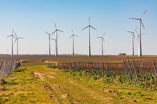 In Rhineland-Palatinate, vineyards and wind power share rural nature
