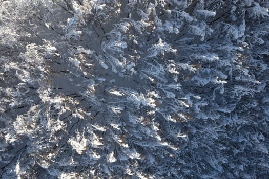 Aerial photographic documentation of a completely snow-covered forest 