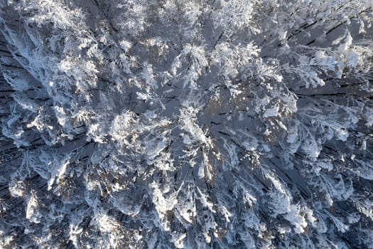 Aerial photographic documentation of a completely snow-covered forest 