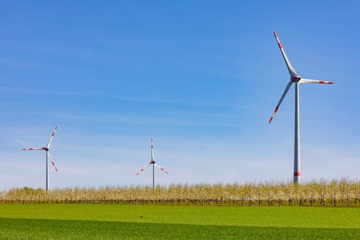 Huge wind turbines behind a meadow and an orchard, Germany