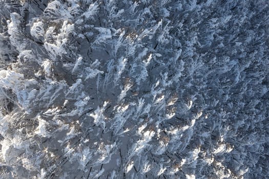 Aerial photographic documentation of a completely snow-covered forest 