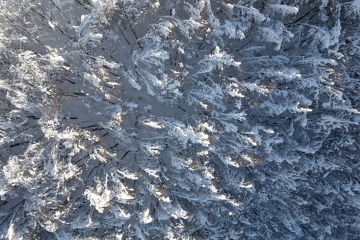 Aerial photographic documentation of a completely snow-covered forest 