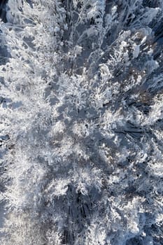 Aerial photographic documentation of a completely snow-covered forest 