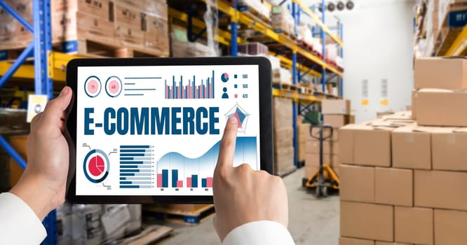 E-commerce data software provide modish dashboard for sale analysis to the online retail business