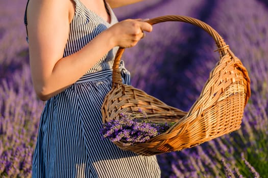 A womans hand holding a basket brimming with freshly plucked violet flowers, while she stands amidst a lavender field