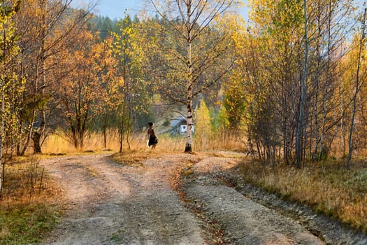 the activity of going for long walks, especially in the country or woods