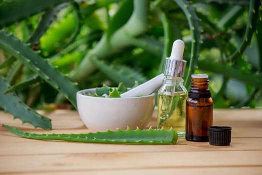 aloe vera essential oil on a wooden background, juice. Selective focus