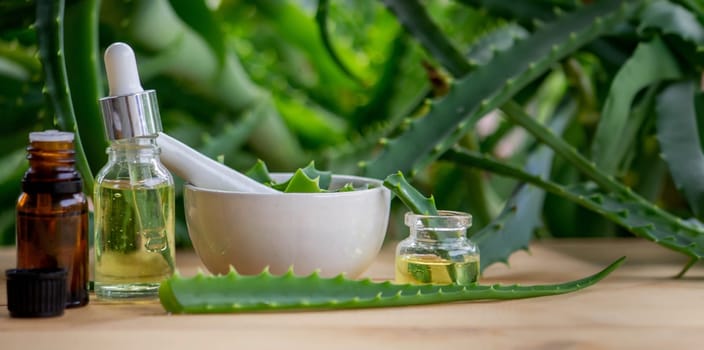 aloe vera essential oil on a wooden background, juice. Selective focus