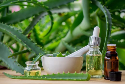 aloe vera essential oil on a wooden background, juice. Selective focus