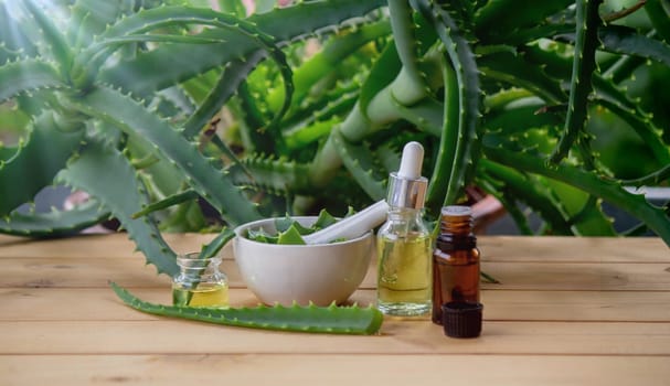 aloe vera essential oil on a wooden background, juice. Selective focus