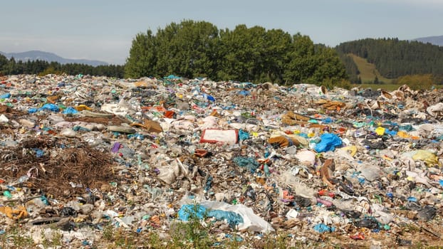 Landfill / dump site with green trees in background. No logos / trademarks visible on dumped garbage)