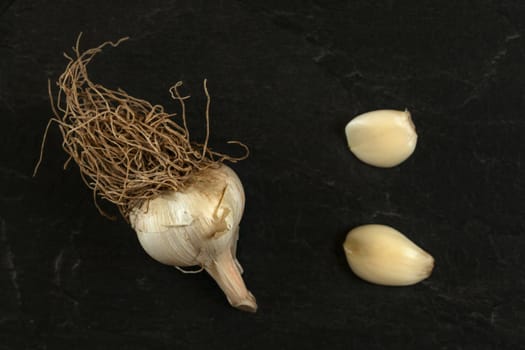 Top down view, garlic bulb with brown roots and two peeled cloves on dark board.