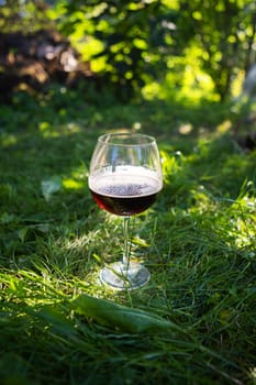 Glass of beer on green grass in public park, green nature. Outdoor recreation, picnic