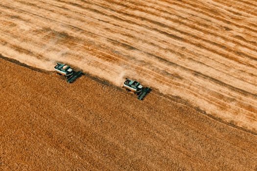 Harvesting of grain in summer. Two harvesters working in field. Combine harvester agricultural machine collecting golden ripe wheat or rye on field. View from above. Copy space