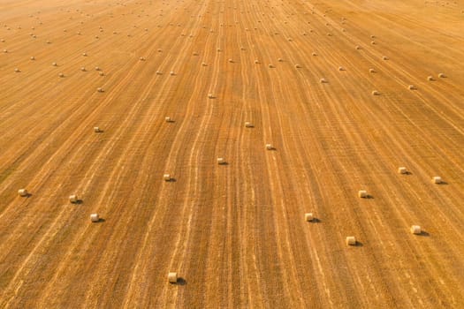 Aerial view of hay bales on agricultural field after harvest. Farm landscape. Drone perspective view of yellow cut grass striped pattern on field with many velour grasses bales. Dry fodder. Haying.
