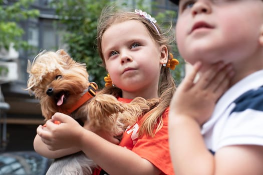 A boy and a girl of 5 years old are playing with a small dog of the Chihuahua breed outside in the yard in summer. The girl tightly hugs and holds a dwarf dog in her arms. Close-up.