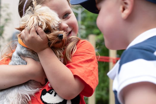 A boy and a girl of 5 years old are playing with a small dog of the Chihuahua breed outside in the yard in summer. The girl tightly hugs and holds a dwarf dog in her arms. Close-up.