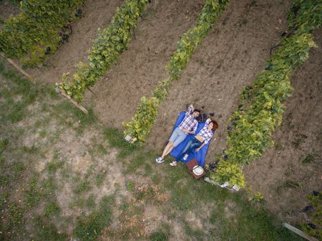 Top view of a beautiful smiling couple having picnic and tasting wine at a vineyard.