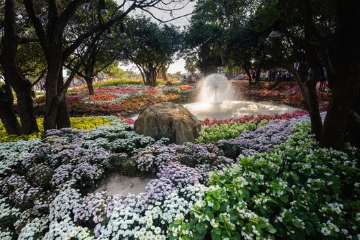 Chiang Rai, Thailand - JANUARY 02, 2016: Flowers Blooming at the Chiang Rai Flower Festival and Music in the Park 2016