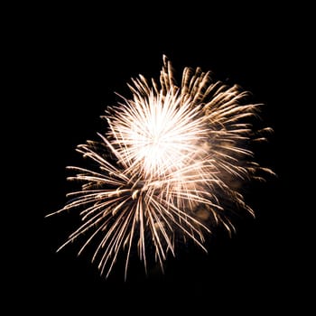 Colorful fireworks isolated on black sky background.