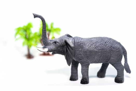 toy elephant on white background