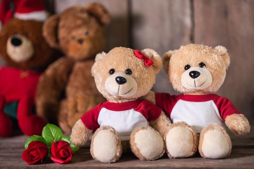 Close up of two teddy bear on wood background