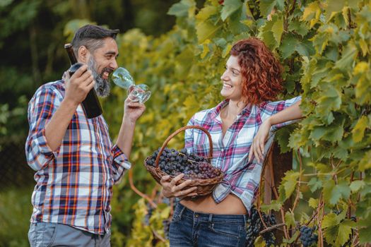 Beautiful smiling couple are having fun and tasting wine at a vineyard. A man is holding a bottle of wine and a woman is holding basket with grapes.