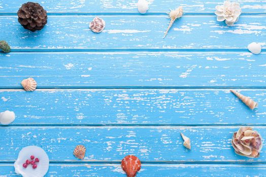 Summer concept, seashells on wood background