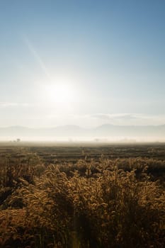 sunrise on field mountain