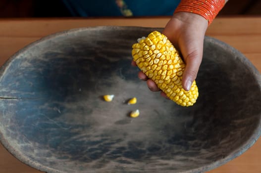 aerial view close-up of an indigenous woman's hand from otavalo ecuador showing ear of corn. High quality photo