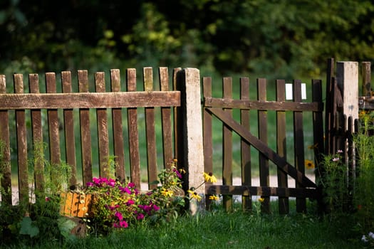 A rural old fence, bathed in the rays of the setting sun. Summer season in rural views.