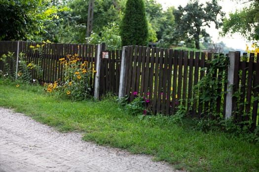 Along the village road there is an old drapery fence built of rails. Juicy green grass right next to the fence with a small number of flowers.