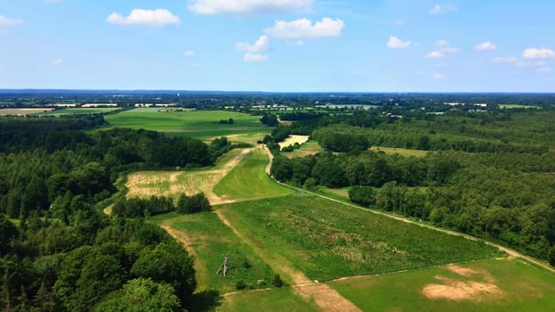 Drone view of a mixed forest with green trees in northern Germany