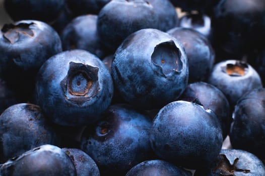 Group of fresh blueberries, close-up. macro studio shot.