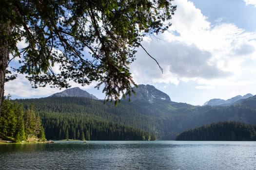 Mountain landscape, Durmitor National Park, Montenegro. Beautiful view of the lake in a beautiful forest against the backdrop of a blur of mountains