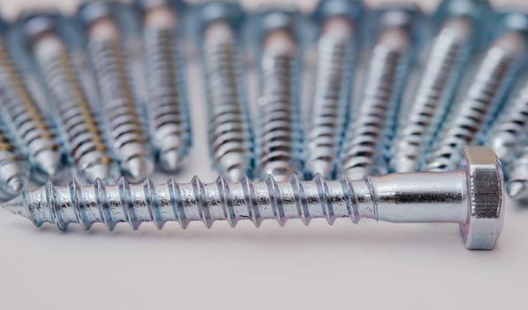 screw on metal against the background of screws in defocus.