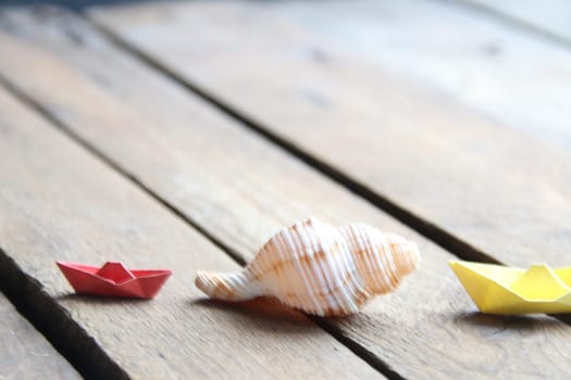 Seashell on a wooden background. Summer background.