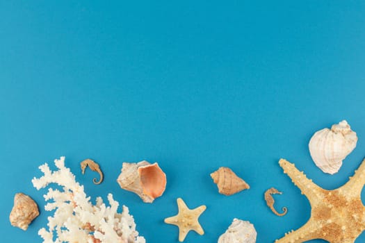 Corals and starfishes on a blue isolated background. Top view. Summertime holiday vacation concept. Flat lay. Banner with seashells.