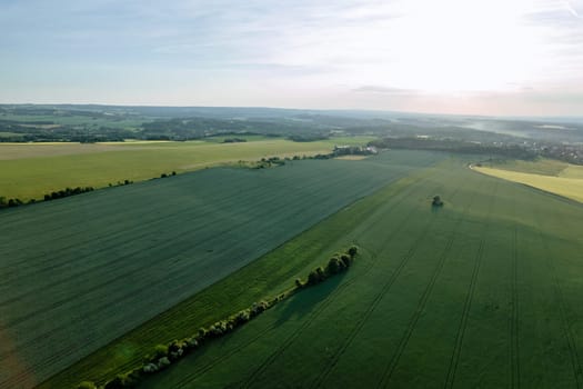 From above, the rural scenery is adorned with fields of young green wheat, creating a serene and peaceful ambiance.