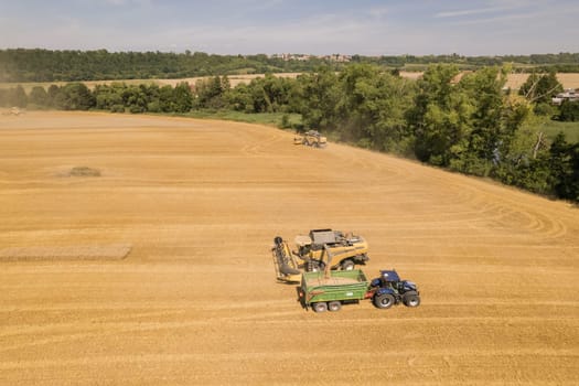 Wheat combines can cover vast areas in the field, ensuring an efficient collection of the crop.