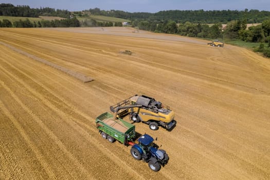 Modern agricultural practices, including use of combines, have revolutionized wheat harvesting, making it more efficient and productive.