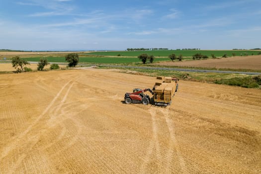 Straw is baled and loaded onto trucks for delivery to storage facility. Farmers use straw as a mulching material to protect crops from weeds and retain moisture.