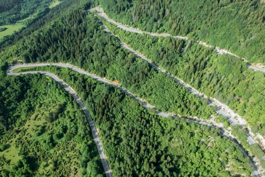 Winding road through forest provides sense of tranquility and seclusion. Road winds through forest, offering glimpses of hidden natural wonders.